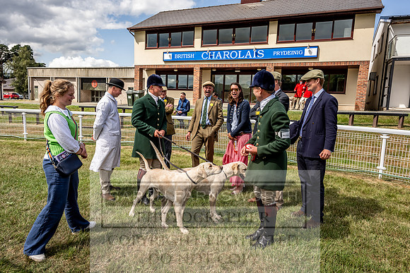 Builth Hound Show 2023-64