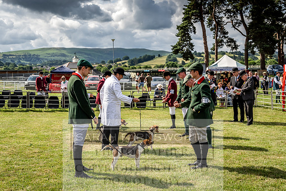 Builth Hound Show 2023-38