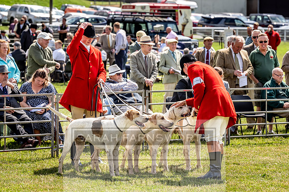 Builth Hound Show 2023-87