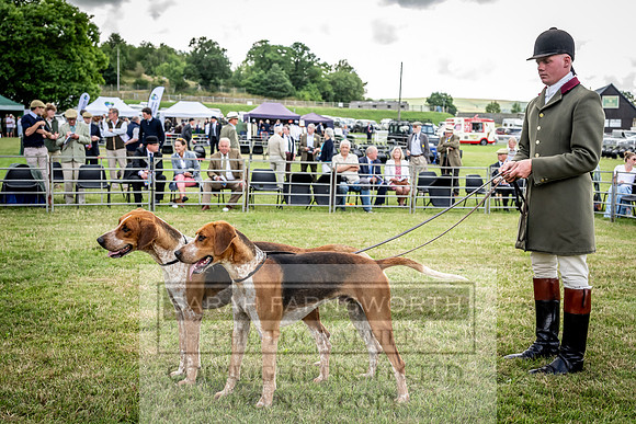 Builth Hound Show 2023-17