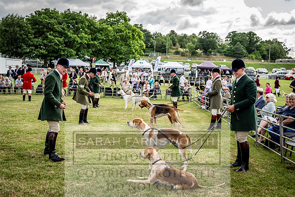 Builth Hound Show 2023-8