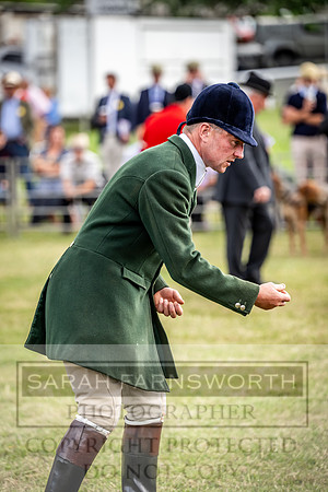 Builth Hound Show 2023-9