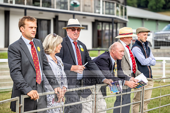 Builth Hound Show 2023-11