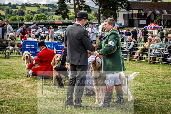 Builth Hound Show 2023-100