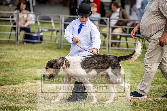 Builth Hound Show 2023-128