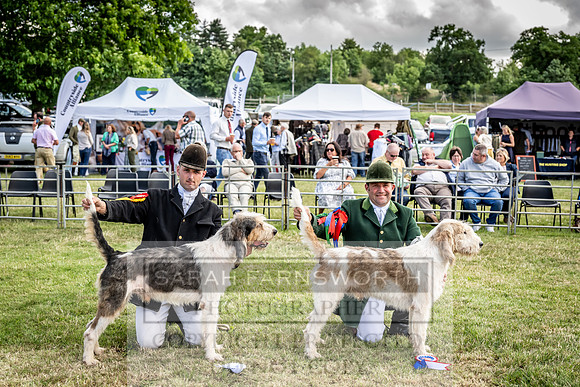 Builth Hound Show 2023-113