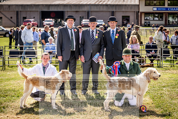 Builth Hound Show 2023-211