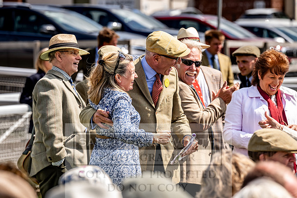 Builth Hound Show 2023-85