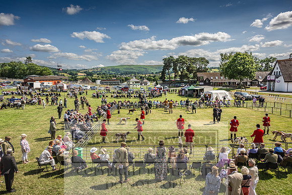 Builth Hound Show 2023-180