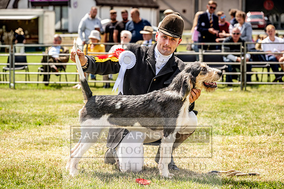 Builth Hound Show 2023-164