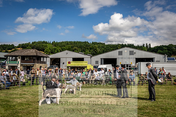 Builth Hound Show 2023-68