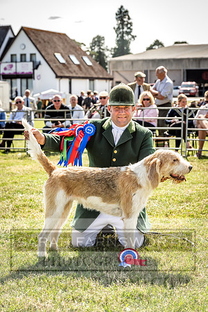 Builth Hound Show 2023-208