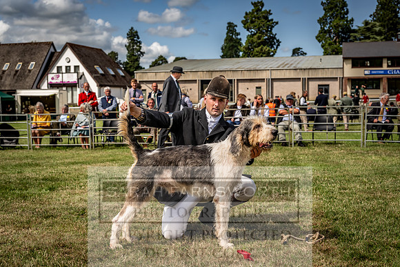 Builth Hound Show 2023-70
