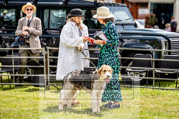 Builth Hound Show 2023-150