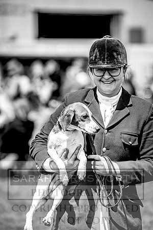 Builth Hound Show 2023-162