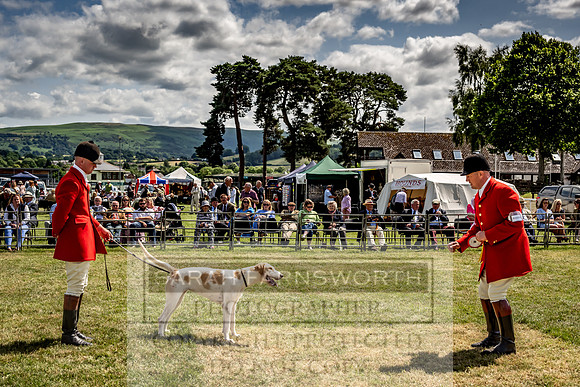 Builth Hound Show 2023-169