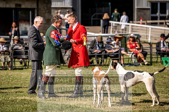 Builth Hound Show 2023-227