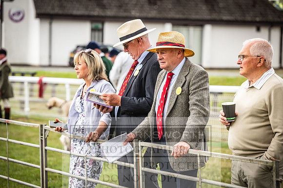 Builth Hound Show 2023-48