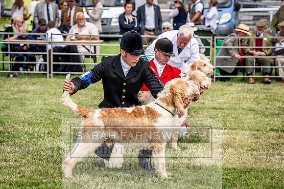 Builth Hound Show 2023-97