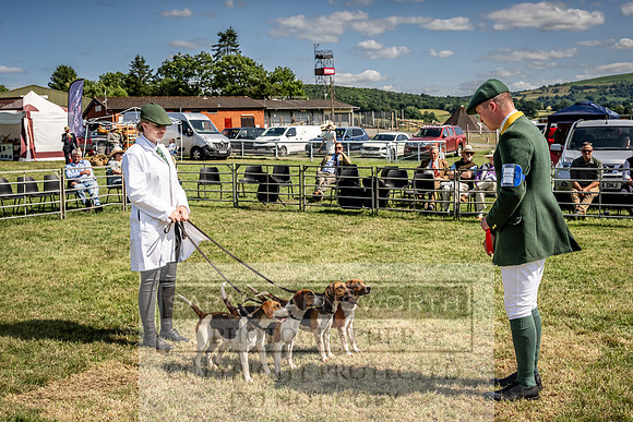Builth Hound Show 2023-205