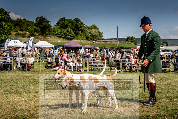 Builth Hound Show 2023-189