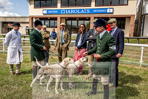 Builth Hound Show 2023-65