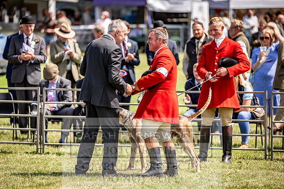 Builth Hound Show 2023-116