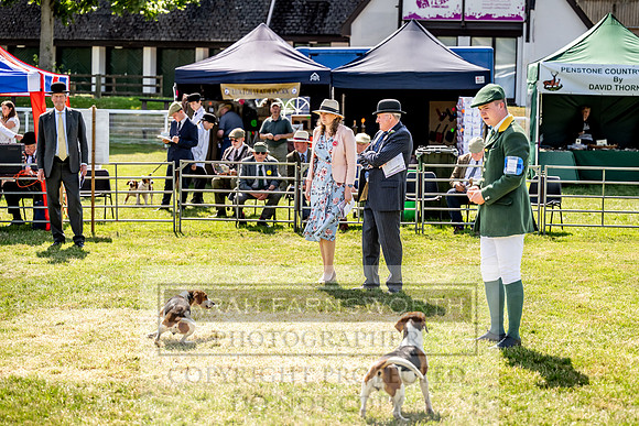 Builth Hound Show 2023-197