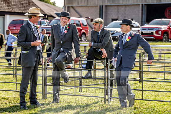 Builth Hound Show 2023-240