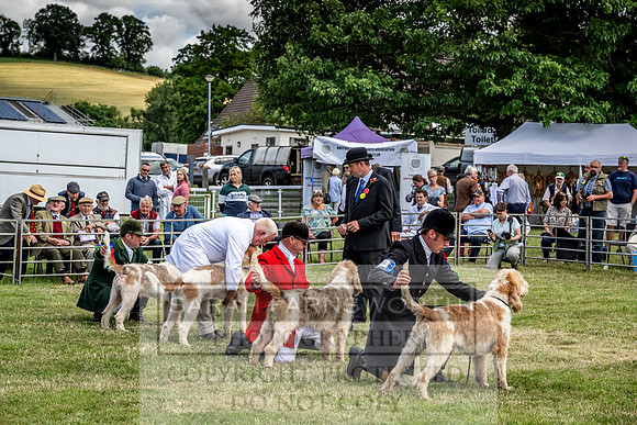 Builth Hound Show 2023-96
