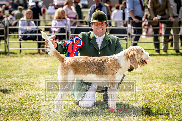 Builth Hound Show 2023-177