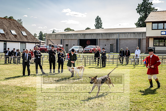 Builth Hound Show 2023-231