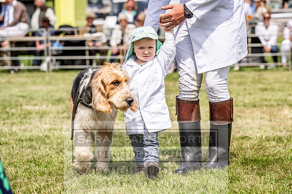 Builth Hound Show 2023-136