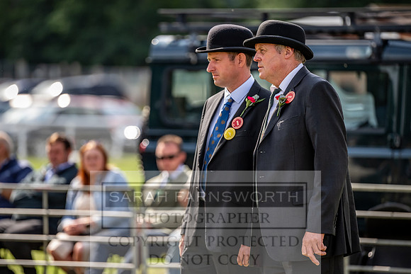Builth Hound Show 2023-34