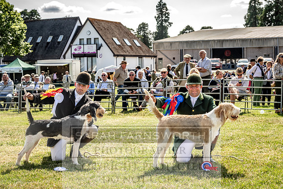 Builth Hound Show 2023-207
