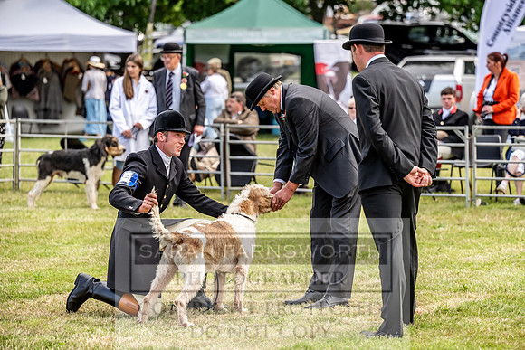 Builth Hound Show 2023-59