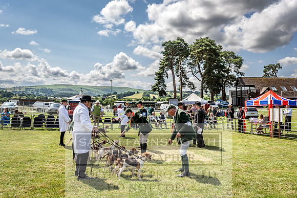 Builth Hound Show 2023-102