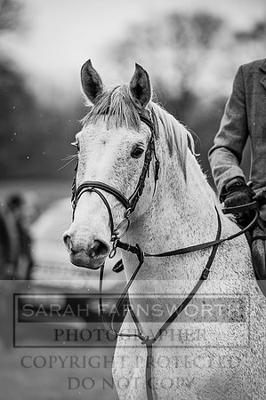 SWWWH 200216-20 bw
