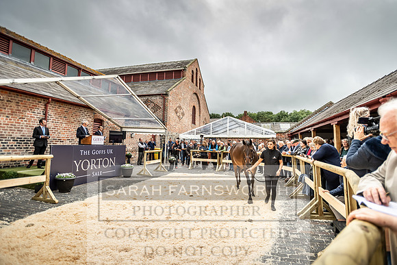 GUK Yorton Sale 2019-306
