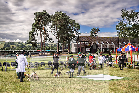 Builth Hound Show 2022-12