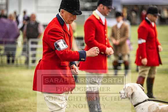 Builth Hound Show 2022-1