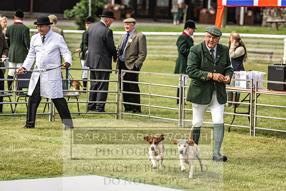 Builth Hound Show 2022-10