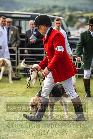 Builth Hound Show 2022-8
