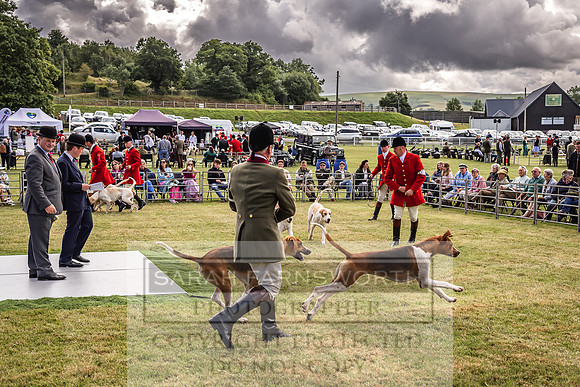 Builth Hound Show 2022-15
