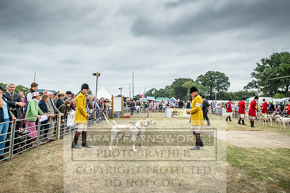 Honiton Hound Show 2018-20