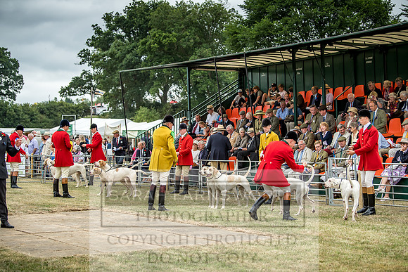 Honiton Hound Show 2018-21