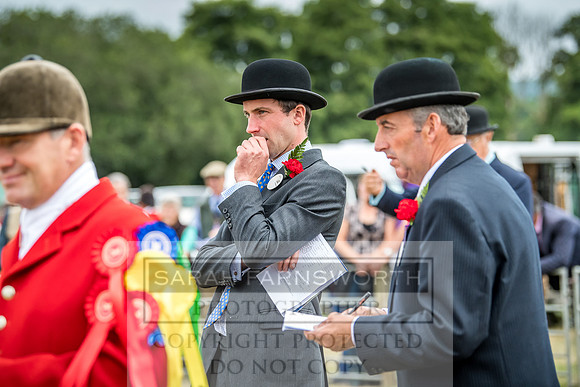 Honiton Hound Show 2018-3