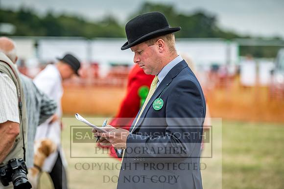 Honiton Hound Show 2018-19