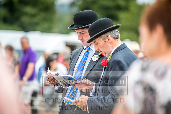 Honiton Hound Show 2018-2