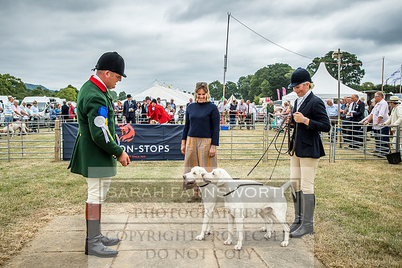 Honiton Hound Show 2018-17